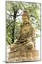 China 10MKm2 Collection - Buddhist Statue-Philippe Hugonnard-Mounted Photographic Print