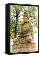 China 10MKm2 Collection - Buddhist Statue-Philippe Hugonnard-Framed Stretched Canvas