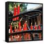 China 10MKm2 Collection - Candles in a Buddhist Temple-Philippe Hugonnard-Framed Stretched Canvas