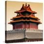 China 10MKm2 Collection - Chinese Architecture - Forbidden City - Beijing-Philippe Hugonnard-Stretched Canvas