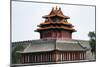 China 10MKm2 Collection - Chinese Architecture - Forbidden City - Beijing-Philippe Hugonnard-Mounted Photographic Print