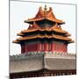 China 10MKm2 Collection - Chinese Architecture - Forbidden City - Beijing-Philippe Hugonnard-Mounted Photographic Print