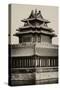 China 10MKm2 Collection - Chinese Architecture - Forbidden City - Beijing-Philippe Hugonnard-Stretched Canvas