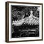 China 10MKm2 Collection - Chinese Architecture-Philippe Hugonnard-Framed Photographic Print