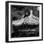 China 10MKm2 Collection - Chinese Architecture-Philippe Hugonnard-Framed Photographic Print