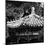 China 10MKm2 Collection - Chinese Architecture-Philippe Hugonnard-Mounted Photographic Print