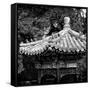 China 10MKm2 Collection - Chinese Architecture-Philippe Hugonnard-Framed Stretched Canvas