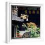 China 10MKm2 Collection - Chinese Architecture-Philippe Hugonnard-Framed Photographic Print