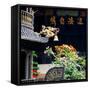 China 10MKm2 Collection - Chinese Architecture-Philippe Hugonnard-Framed Stretched Canvas