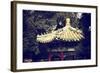 China 10MKm2 Collection - Chinese Architecture-Philippe Hugonnard-Framed Photographic Print