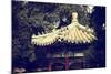 China 10MKm2 Collection - Chinese Architecture-Philippe Hugonnard-Mounted Photographic Print