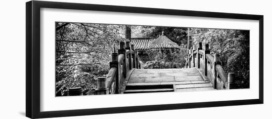 China 10MKm2 Collection - Chinese Bridge-Philippe Hugonnard-Framed Photographic Print