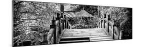 China 10MKm2 Collection - Chinese Bridge-Philippe Hugonnard-Mounted Photographic Print