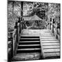 China 10MKm2 Collection - Chinese Bridge-Philippe Hugonnard-Mounted Photographic Print