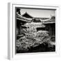 China 10MKm2 Collection - Chinese Buddhist Temple-Philippe Hugonnard-Framed Photographic Print