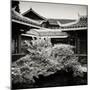 China 10MKm2 Collection - Chinese Buddhist Temple-Philippe Hugonnard-Mounted Photographic Print