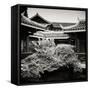 China 10MKm2 Collection - Chinese Buddhist Temple-Philippe Hugonnard-Framed Stretched Canvas