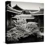 China 10MKm2 Collection - Chinese Buddhist Temple-Philippe Hugonnard-Stretched Canvas