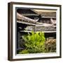 China 10MKm2 Collection - Chinese Buddhist Temple-Philippe Hugonnard-Framed Photographic Print