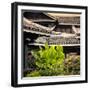 China 10MKm2 Collection - Chinese Buddhist Temple-Philippe Hugonnard-Framed Photographic Print