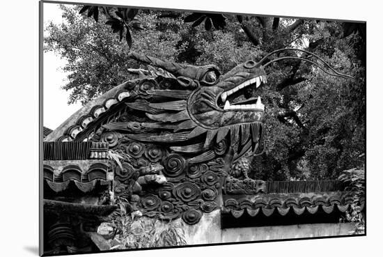 China 10MKm2 Collection - Chinese Dragon Head-Philippe Hugonnard-Mounted Photographic Print