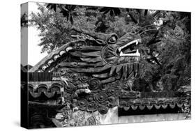 China 10MKm2 Collection - Chinese Dragon Head-Philippe Hugonnard-Stretched Canvas