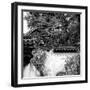 China 10MKm2 Collection - Chinese Dragon Head-Philippe Hugonnard-Framed Photographic Print