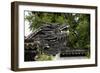 China 10MKm2 Collection - Chinese Dragon Head-Philippe Hugonnard-Framed Photographic Print