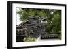 China 10MKm2 Collection - Chinese Dragon Head-Philippe Hugonnard-Framed Photographic Print