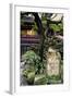 China 10MKm2 Collection - Chinese Garden-Philippe Hugonnard-Framed Photographic Print