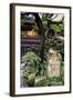 China 10MKm2 Collection - Chinese Garden-Philippe Hugonnard-Framed Photographic Print