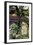 China 10MKm2 Collection - Chinese Garden-Philippe Hugonnard-Framed Photographic Print