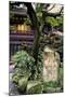 China 10MKm2 Collection - Chinese Garden-Philippe Hugonnard-Mounted Photographic Print