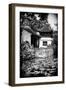 China 10MKm2 Collection - Chinese Garden-Philippe Hugonnard-Framed Photographic Print