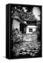 China 10MKm2 Collection - Chinese Garden-Philippe Hugonnard-Framed Stretched Canvas