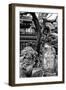 China 10MKm2 Collection - Chinese Garden-Philippe Hugonnard-Framed Photographic Print