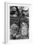 China 10MKm2 Collection - Chinese Garden-Philippe Hugonnard-Framed Photographic Print