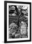 China 10MKm2 Collection - Chinese Garden-Philippe Hugonnard-Framed Photographic Print