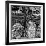 China 10MKm2 Collection - Chinese Garden-Philippe Hugonnard-Framed Photographic Print