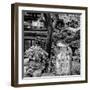 China 10MKm2 Collection - Chinese Garden-Philippe Hugonnard-Framed Photographic Print