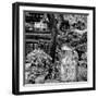 China 10MKm2 Collection - Chinese Garden-Philippe Hugonnard-Framed Photographic Print