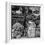 China 10MKm2 Collection - Chinese Garden-Philippe Hugonnard-Framed Photographic Print