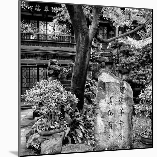 China 10MKm2 Collection - Chinese Garden-Philippe Hugonnard-Mounted Photographic Print