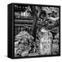 China 10MKm2 Collection - Chinese Garden-Philippe Hugonnard-Framed Stretched Canvas