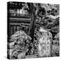 China 10MKm2 Collection - Chinese Garden-Philippe Hugonnard-Stretched Canvas