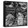 China 10MKm2 Collection - Chinese Garden-Philippe Hugonnard-Framed Stretched Canvas