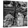 China 10MKm2 Collection - Chinese Garden-Philippe Hugonnard-Stretched Canvas