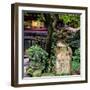 China 10MKm2 Collection - Chinese Garden-Philippe Hugonnard-Framed Photographic Print