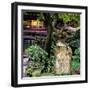 China 10MKm2 Collection - Chinese Garden-Philippe Hugonnard-Framed Photographic Print