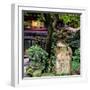 China 10MKm2 Collection - Chinese Garden-Philippe Hugonnard-Framed Photographic Print